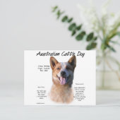 レッドスペックルオーストラリア牛の犬の歴史 ポストカード (スタンド正面)