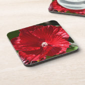 レッドスワンプハイビスカス開花フローラ コースター (左側)