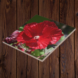 レッドスワンプハイビスカス開花フローラ タイル