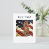 レッドセッターカーリング ポストカード (スタンド正面)