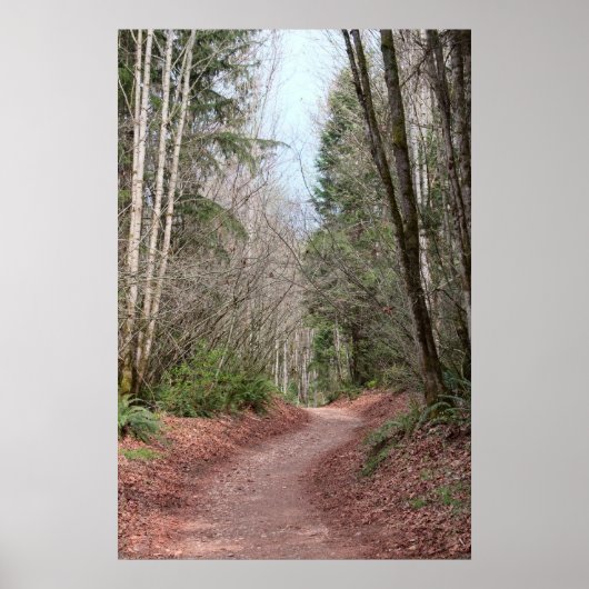 レッドタウンパスプリント ポスター (正面)