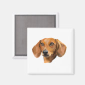 レッドダシュント犬 マグネット (正面/裏面)