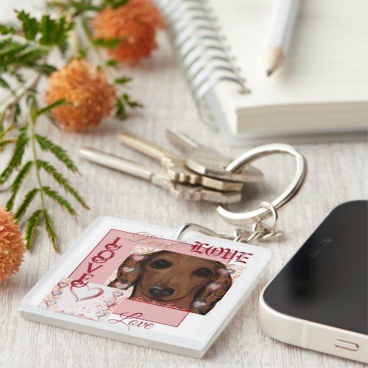 レッドダシュント キーホルダー (正面右)