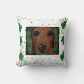 レッドダシュント クッション (正面)