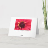 レッドダリアクローズアップ カード (裏面)