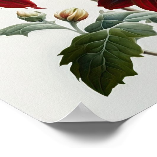 レッドダリアスフラワーアートプリントポスター ポスター (角)