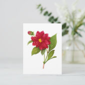 レッドダリアバイピエールジョセフレドゥテ ポストカード (スタンド正面)