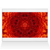 レッドダリアフラワー花びら (内部横(上))