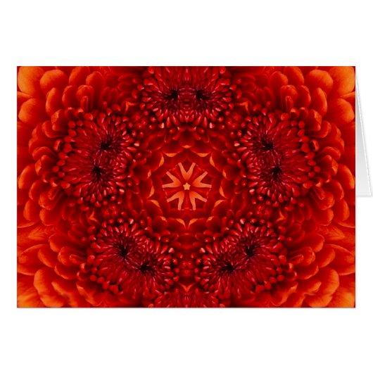 レッドダリアフラワー花びら (正面横)