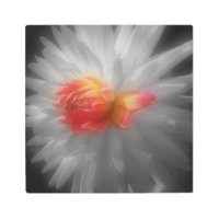 レッドダリアフラワー部分色