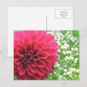 レッドダリアポストカード ポストカード (正面/裏面)