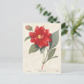 レッドダリアヴィンテージ植物学イラストレーション ポストカード (スタンド正面)