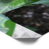 レッドダリア工場 ポスター (角)