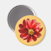 レッドダリア磁石 マグネット (正面/裏面)