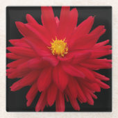 レッドダリア開花オンブラックフローラ ガラスコースター (正面)