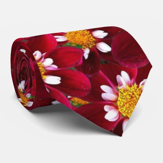 レッドダリア ネクタイ (ロール)