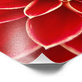 レッドダリア フォトプリント            (角)