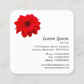 レッドダリア – 白 スクエア名刺 (裏面)