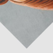 レッドダンチェスナッツソレルウェスタンクォーターホース 薄葉紙 (詳細)