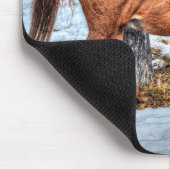 レッドダンランチホースウマ科の写真 マウスパッド (コーナー)