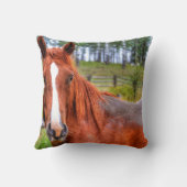 レッドダンランチホース動物の恋人の写真2 クッション (裏面)