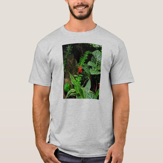 レッドダーツカエルCB Tシャツ (正面)