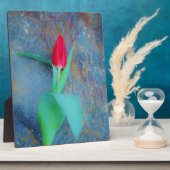 レッドチューリップオンブルーグレー石板 フォトプラーク (側面)