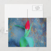 レッドチューリップオンブルーグレー石板 ポストカード (正面/裏面)