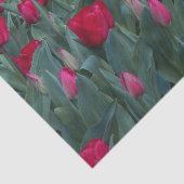 レッドチューリップガーデンフローラ 薄葉紙 (詳細)