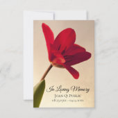 レッドチューリップフラワー春葬儀記念悔やみや弔慰 サンキューカード (正面)