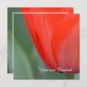 レッドチューリップフラワー誕生日 招待状 (正面/裏面)