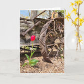 レッドチューリップ&オールドワゴン誕生日 カード (黄色い花)