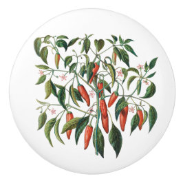 レッドチリペッパー植物丸いノブ セラミックノブ