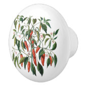 レッドチリペッパー植物丸いノブ セラミックノブ (右)