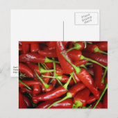 レッドチリペッパー ギフトコレクション ポストカード (正面/裏面)