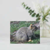 レッドツリーリス ポストカード (スタンド正面)