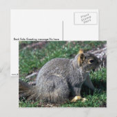 レッドツリーリス ポストカード (正面/裏面)