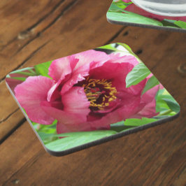 レッドツリー牡丹開花フローラ コースター