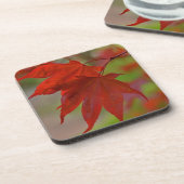 レッドツリー葉 コースター (左側)