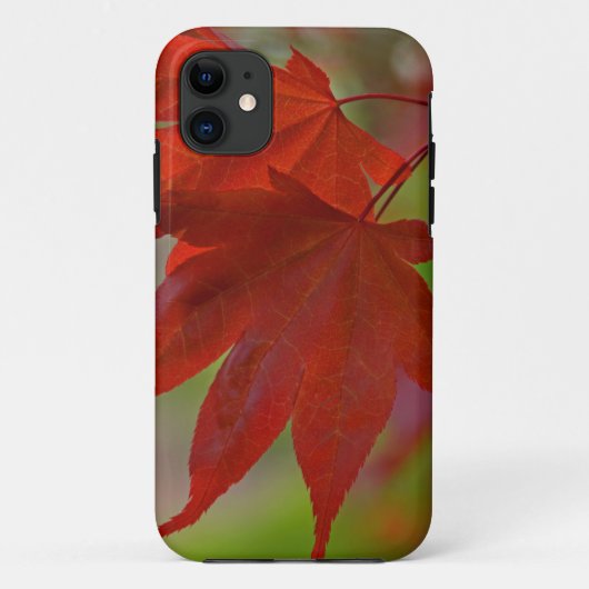 レッドツリー葉 Case-Mate iPhoneケース (裏面)