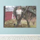レッドテイルドホークTree Red Barn 60" x 40" キャンバスプリント (インサイチュ (ウッドフロア))
