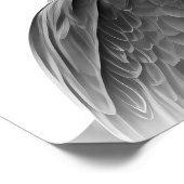 レッドテイルホークバードポートレート白黒 ポスター (角)