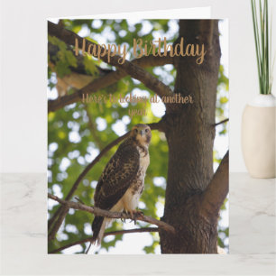 レッドテイルホーク誕生日カード カード