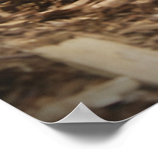 レッドテイルボア ポスター (角)