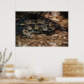 レッドテイルボア ポスター (キッチン)