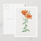 レッドテボタニカル「オレンジリリー」ポストカード ポストカード (正面/裏面)