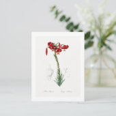 レッドテボタニカル「リリー」ポストカード ポストカード (スタンド正面)