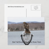 レッドテールホークアットコドロス州パーク ポストカード (正面/裏面)