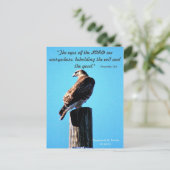 レッドテールホーク – はがき – 諺文15:3 (スタンド正面)