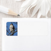 レッドテールホーク ラベル (インサイチュ)